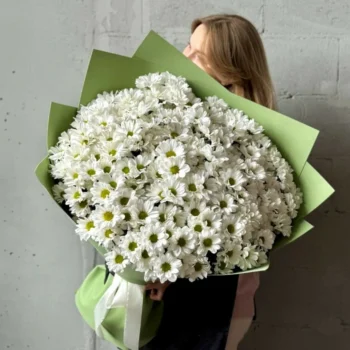 WOW! - букет из 35 белых хризантем-ромашек